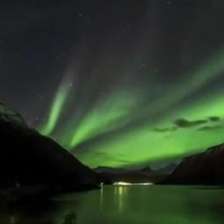 Koselig Leilighet I Narvik Sentrum 5 Soveplasser Gratis Parkering Og Gratis Internett Ngoại thất bức ảnh