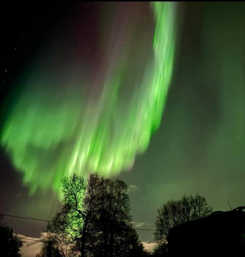 Koselig Leilighet I Narvik Sentrum 5 Soveplasser Gratis Parkering Og Gratis Internett Ngoại thất bức ảnh