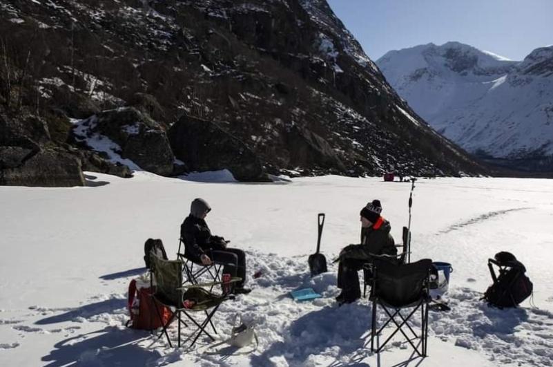Koselig Leilighet I Narvik Sentrum 5 Soveplasser Gratis Parkering Og Gratis Internett Ngoại thất bức ảnh