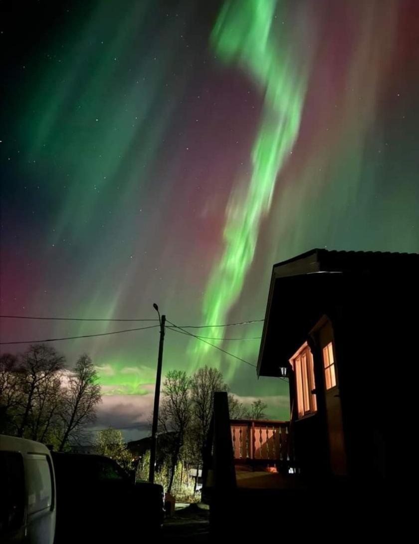 Koselig Leilighet I Narvik Sentrum 5 Soveplasser Gratis Parkering Og Gratis Internett Ngoại thất bức ảnh