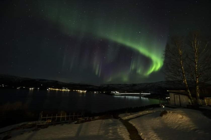 Koselig Leilighet I Narvik Sentrum 5 Soveplasser Gratis Parkering Og Gratis Internett Ngoại thất bức ảnh
